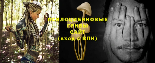 соль ск Саки