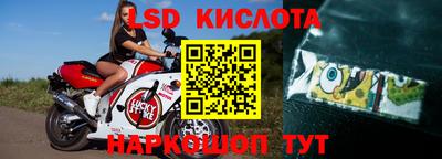 прущие грибы Гусиноозёрск