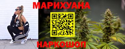 прущие грибы Гусиноозёрск